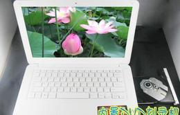 苹果MacBook Pro/Air 14寸笔记本电脑 采购、批发与市场信息指南