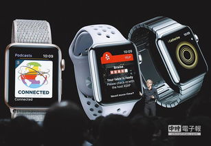 苹概股拖累，台股10800点再失守，计算机股后市如何？